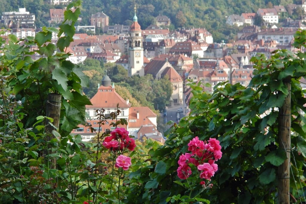 Stuttgart-Süd – Wo die Topografie über die Flächen entscheidet